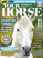 Your Horse